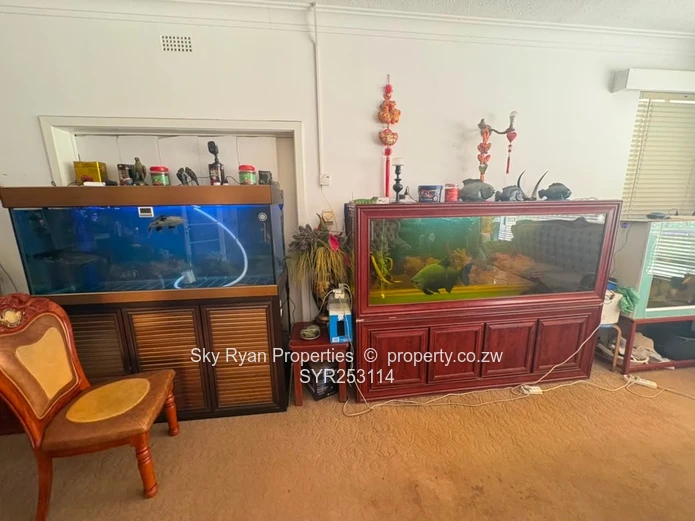 Stand For Sale In Mount Pleasant 