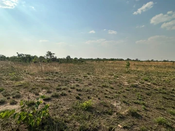 Farm & Agricultural Land