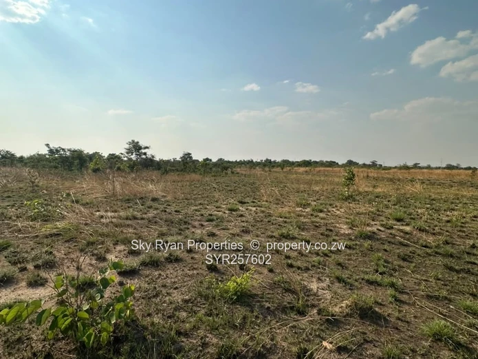 Knockmallock Estate, Norton – Agro-Residential Plots For Sale 