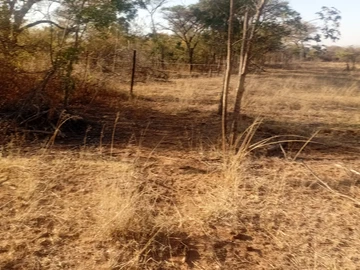 Farm & Agricultural Land