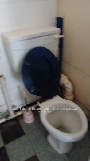 Neat Flat-Near Parirenyatwa