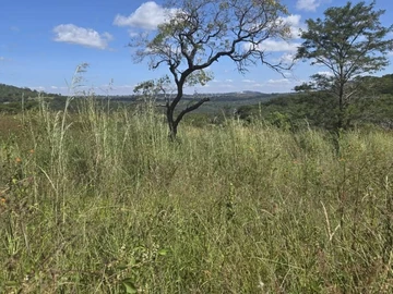 Farm & Agricultural Land