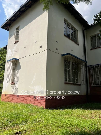 Avenues fully furnished flat to rent 