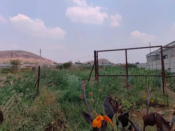 Stands & Residential Land