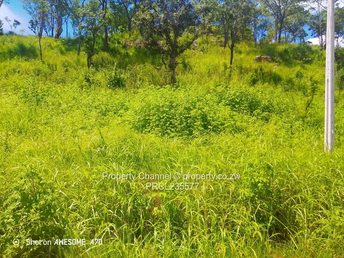 Sloping 4000m² Carrick Creagh — Subdividable, Tarred Road