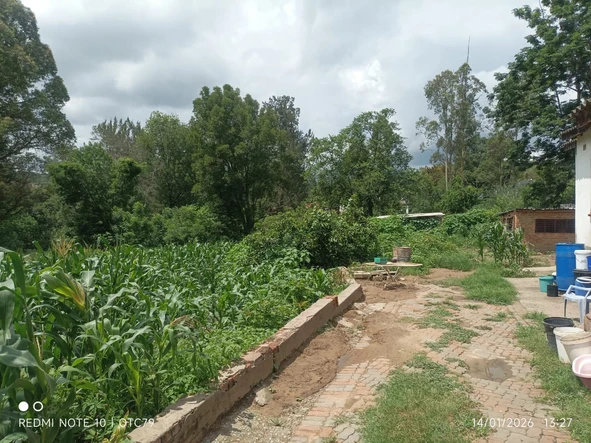 Stands & Residential Land