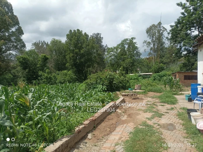 Glen Lorne Estate Property with Deeds ,Golden Oldie on Expansive Land,Ideal for Redevelopment