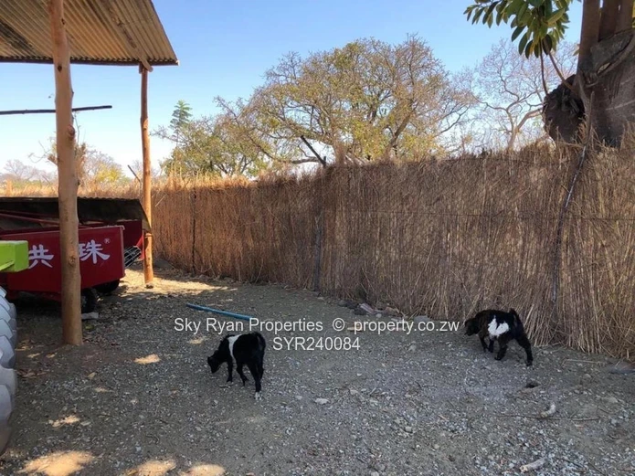 Marondera Farm For Sale 