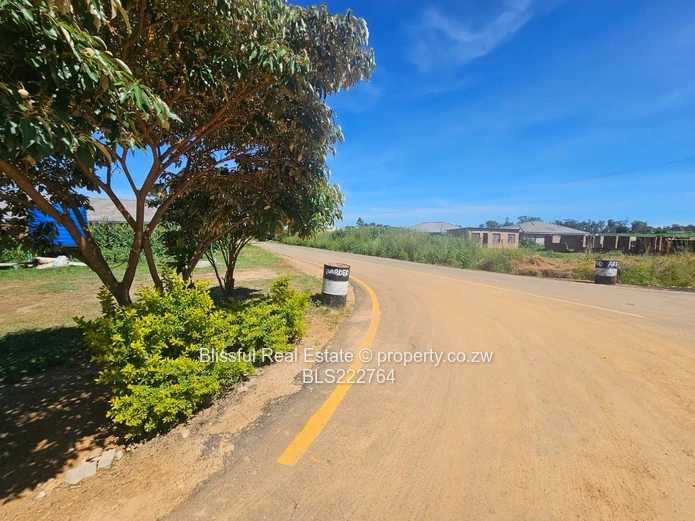 Timire Park stands for sale