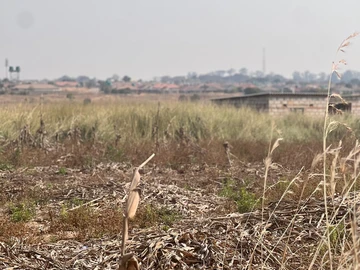 Commercial & Industrial Land