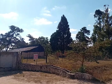 Farm & Agricultural Land