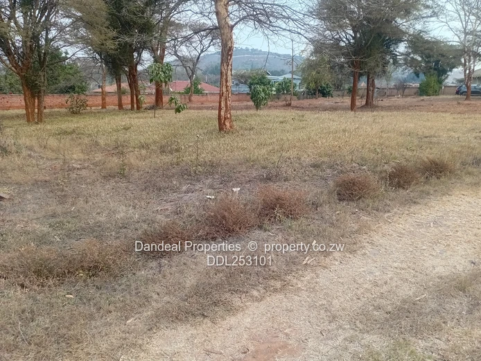 2000m² Carrick Creagh Stand — Main Road Frontage, Tarred Access
