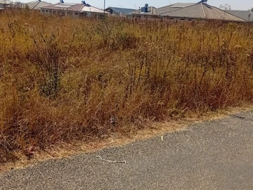 Stands & Residential Land