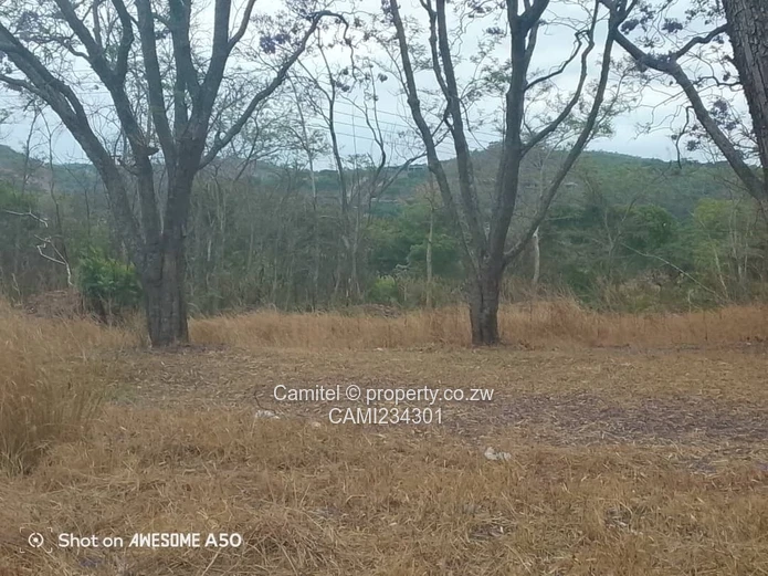 A good potential Investment