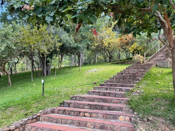 New Release - Kariba