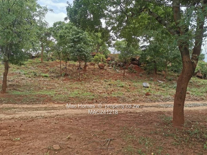 Ready To Build Stand; Gletwin's Finest