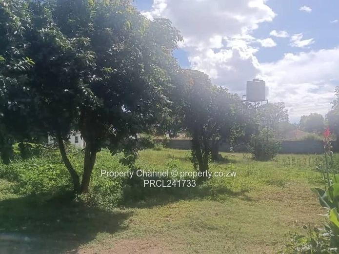 Investement opporunity not to be missed