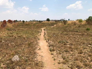 Farm & Agricultural Land