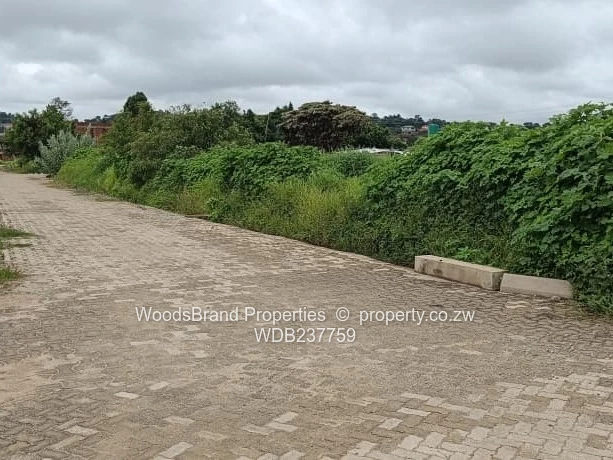 Cold Comfort Duplex Stands- Pleasant Valley drive