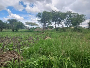 Commercial & Industrial Land