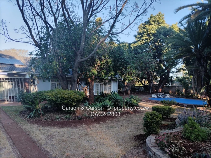 A stone thrown away from Harare International 