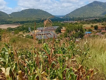 Commercial & Industrial Land