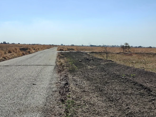 Stands & Residential Land