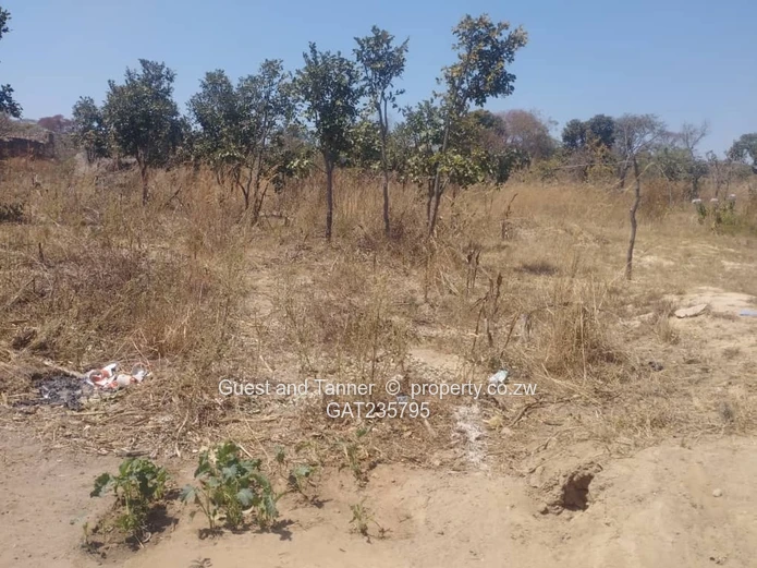 Residential Stands for Sale In Crowhill