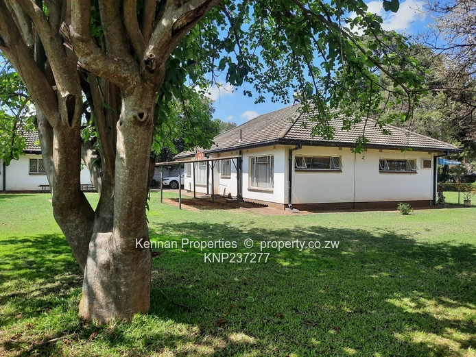 Large Stand with Small House and Good Water- Ripe for Development