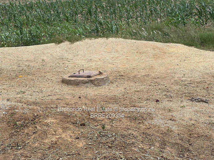 Norton Darwendale views vacant stand.  (Sole Mandate)