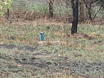 Farm & Agricultural Land