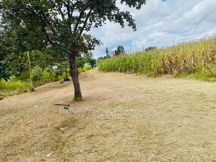 Norton Knowe Phase 2 Stand For Sale