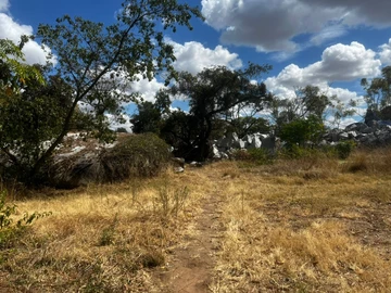 Commercial & Industrial Land