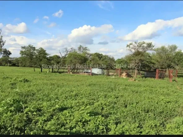 Farm & Agricultural Land