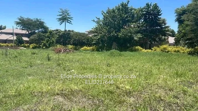 Country Estate Stand (Sole Mandate)