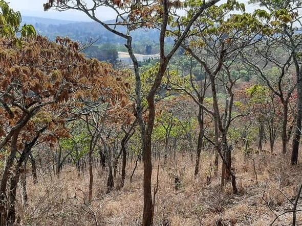 Land