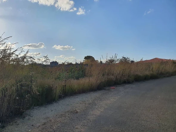 Stands & Residential Land