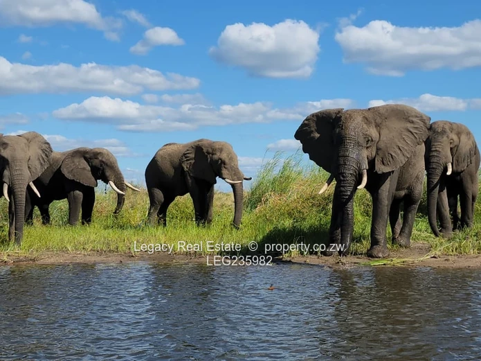 A Once-in-a-Generation Zambezi Riverfront Opportunity,Two Private Islands & a Prime Mainland Estate 