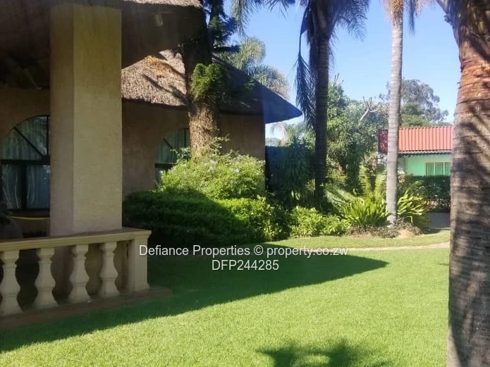 Investment opportunity 