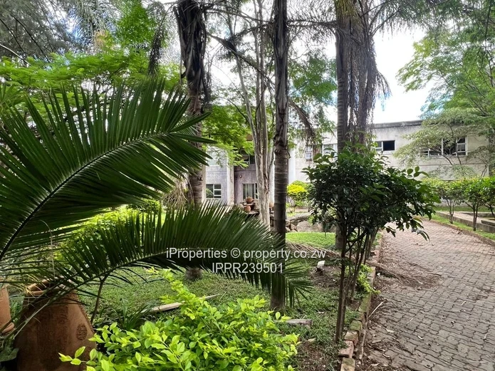 High-Potential Double-Storey Property on 2,000sqm | Prime Investment Opportunity