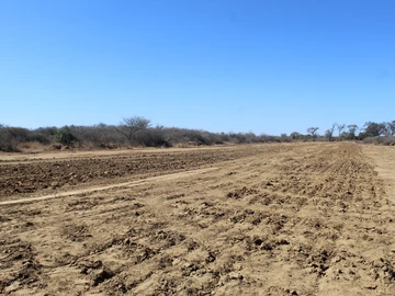 Farm & Agricultural Land