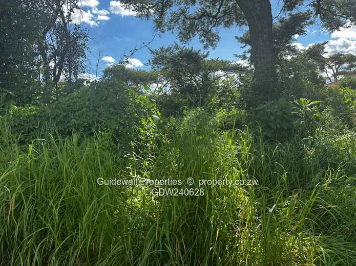 Crowhill stands for sale, a choice of 2  (Sole Mandate)