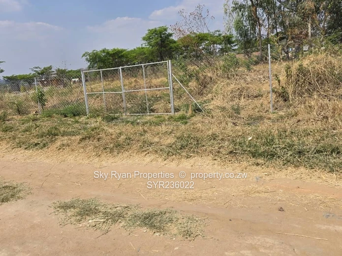 Crowhill Stand For Sale