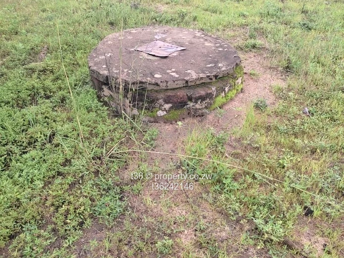 Beautiful musha for retirement and projects (Sole Mandate)