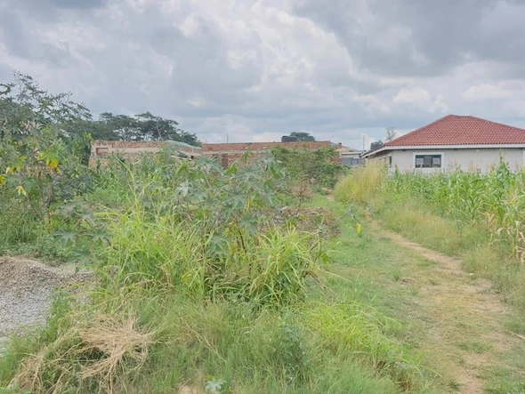 Stands & Residential Land