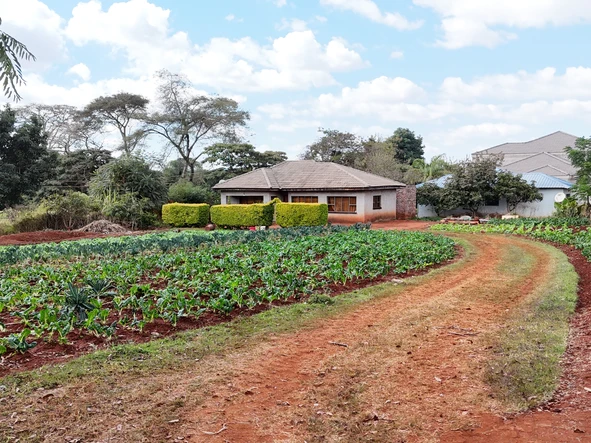 Stands & Residential Land