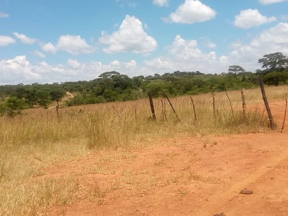 Farm & Agricultural Land