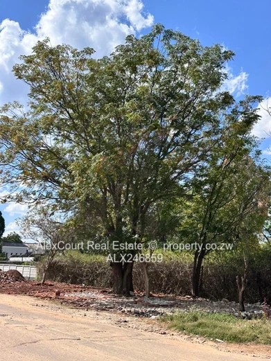 Good Investment, Prime Location!!!