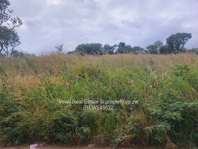 Shawasha Hills Stands on Sale (Sole Mandate)