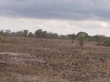 Farm & Agricultural Land